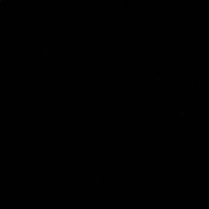 Meet your Posher, Terrell